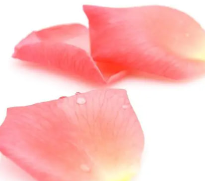 花瓣情色视频